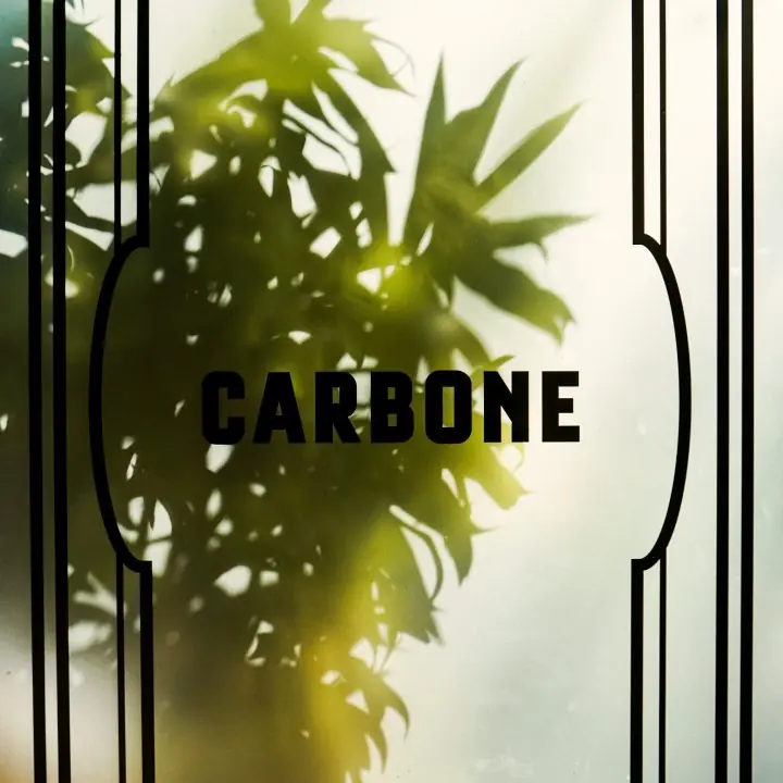 Carbone Miami's signage: the word CARBONE on a vertical fluted panel, shadowed by palm fronds.